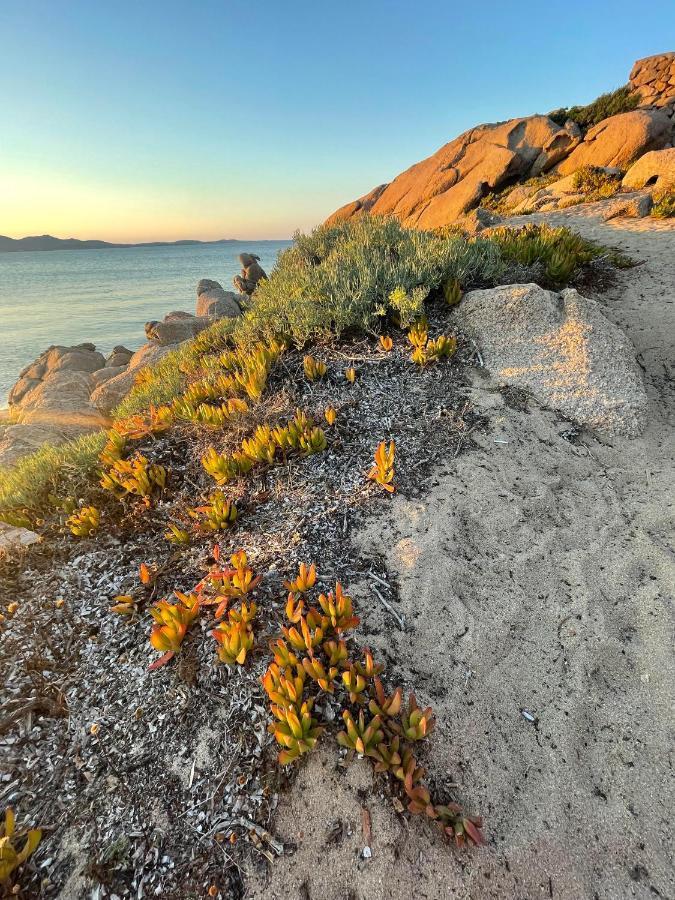 Yucca Lägenhet Olbia Exteriör bild