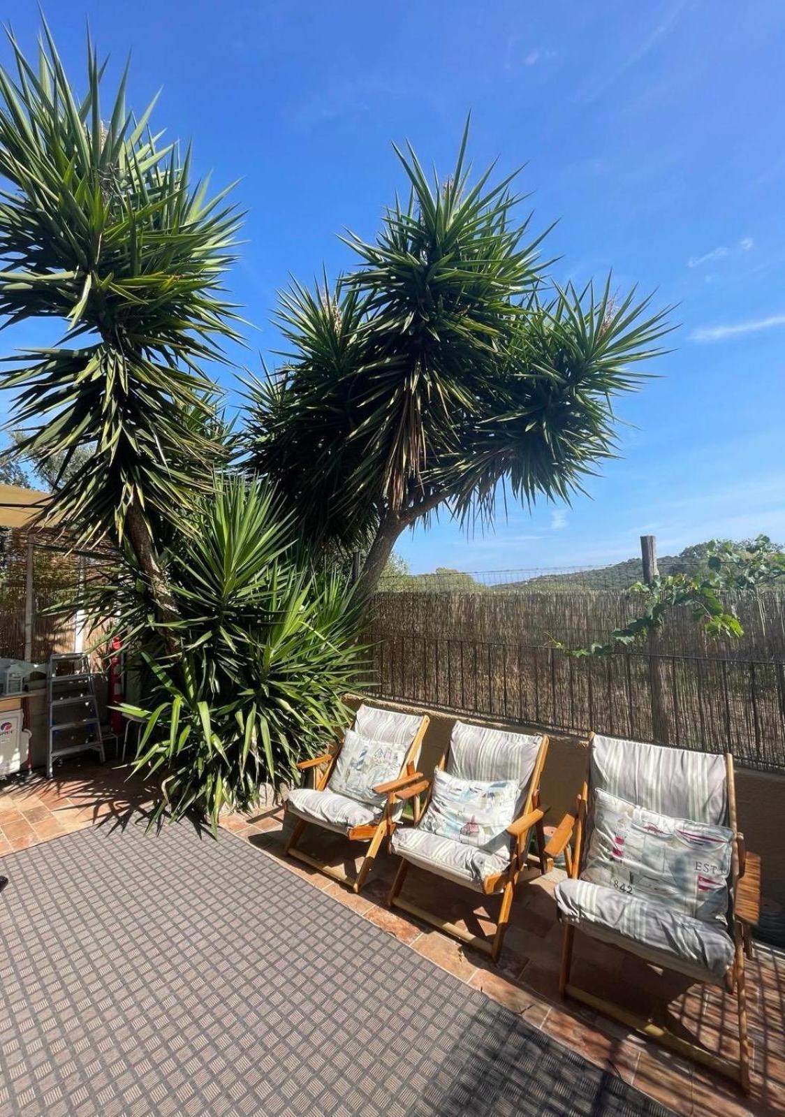 Yucca Lägenhet Olbia Exteriör bild